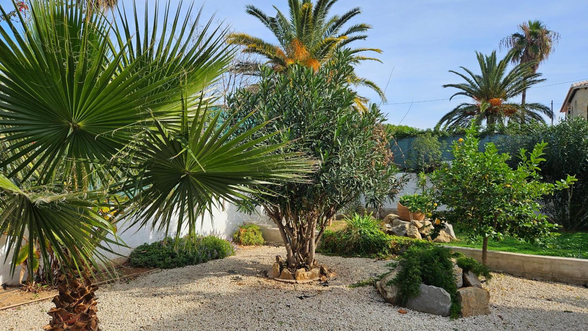 Villa Altomira Dénia Exterior foto
